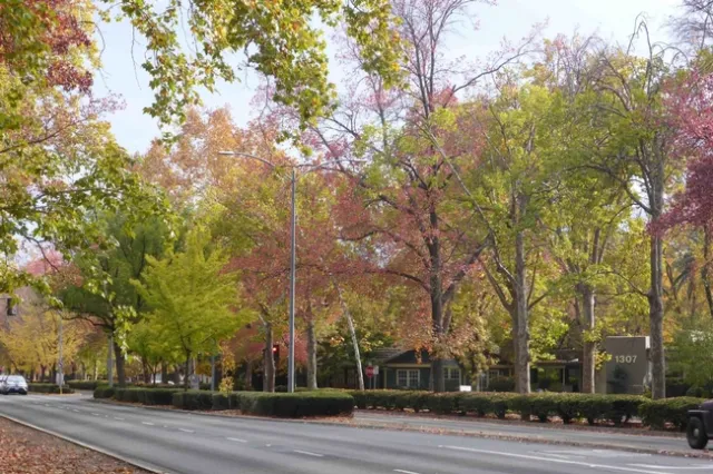 Along the Esplanade in November, J.C.