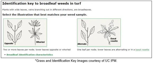 Identification is Key