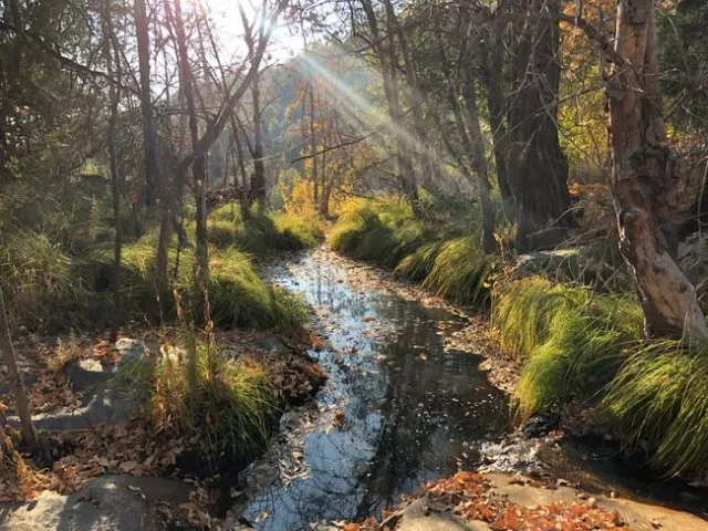 A beautiful sun-dappled stream in the fall