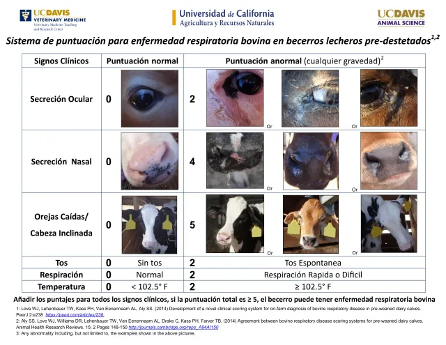 BRD Scoring Chart_002