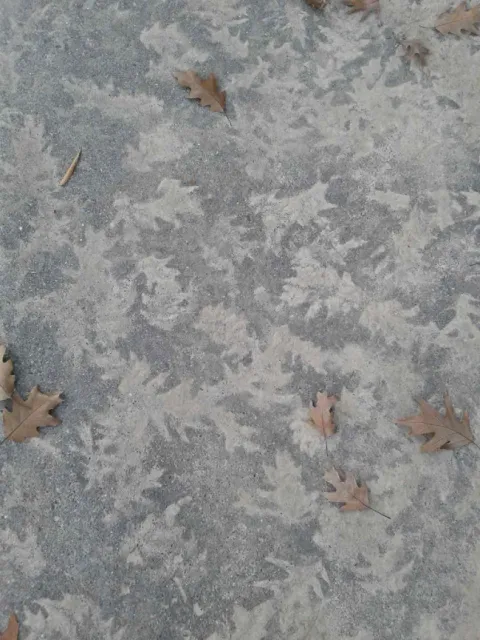 photos by Launa Herrmann