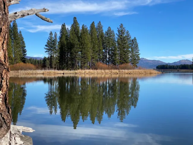 Mark spends the long weekend at the lake