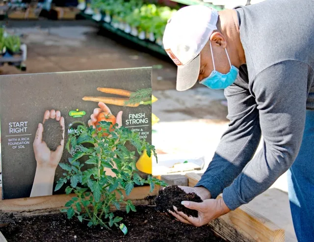 Man holding up soil preparing to plant