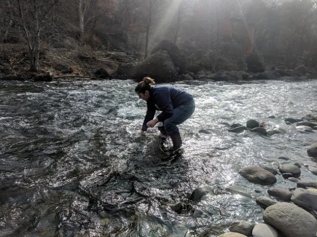 A woman stands in the middle of a stream collecting water in a bottle.