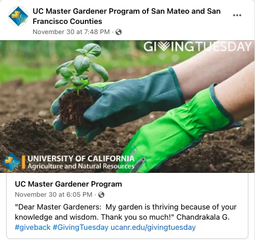 Green gloved hands plant a seedling in soil. TEXT: 