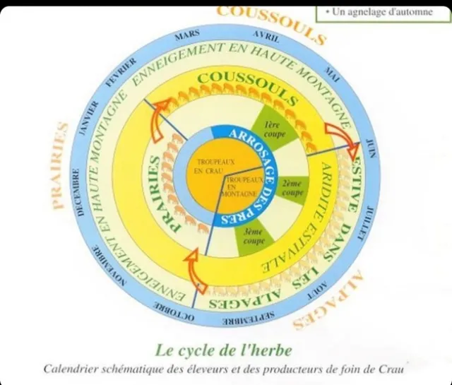 A production calendar created by Domaine du Merle.