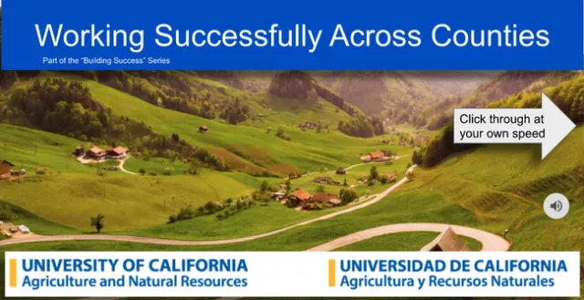 SI Brief be successful