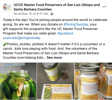 3 photos of jars of pickles