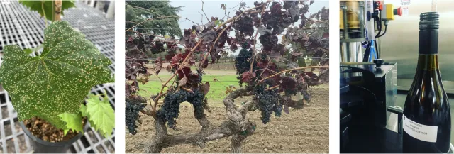 Screen Shot 2022-01-26 at 3.35.11 PM