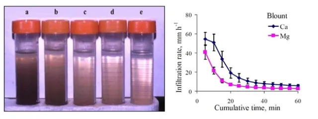 Ca-Mg Effects on Flocculation and Infiltration