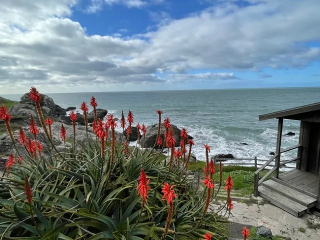 Kathryn gets away to Mt. Tam over break