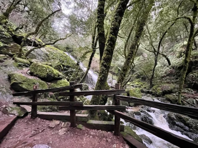 Kathryn takes a hike in between raindrops