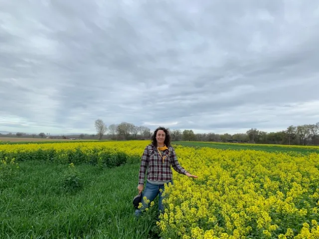 Sarah Light stands surrounded by yellow blooms in a field of white mustard.