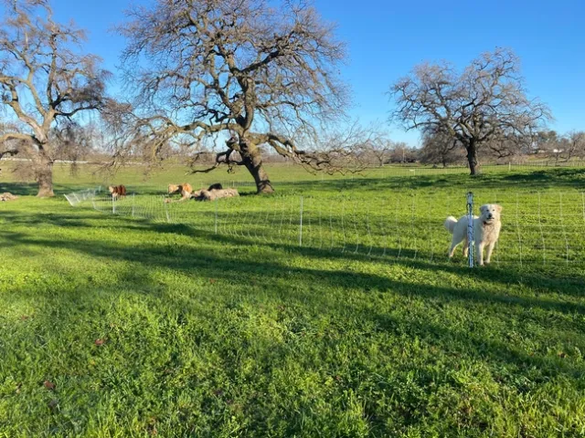 Photo Jan 25, 9 19 49 AM