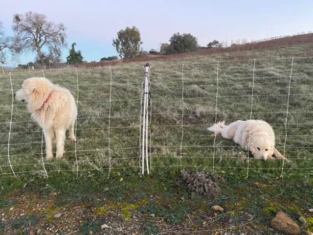 Photo Jan 25, 7 01 17 AM