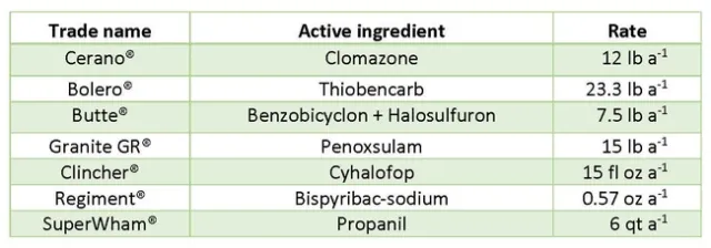 Table 2. Herbicides and rates utilized for the 2021 watergrass screening. Rates are given in product per acre.