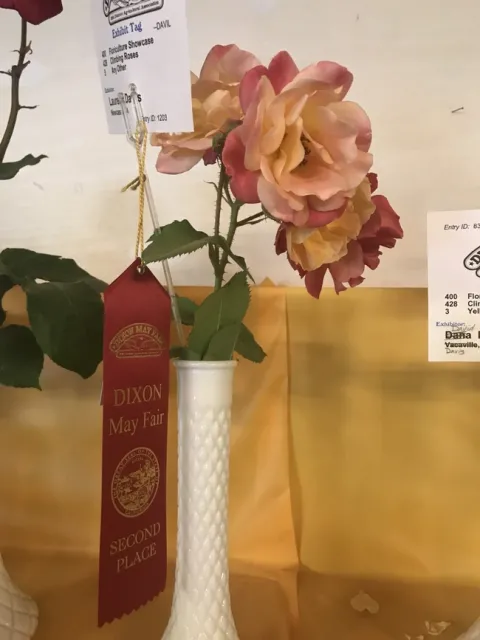 photos by Jennifer DeDora