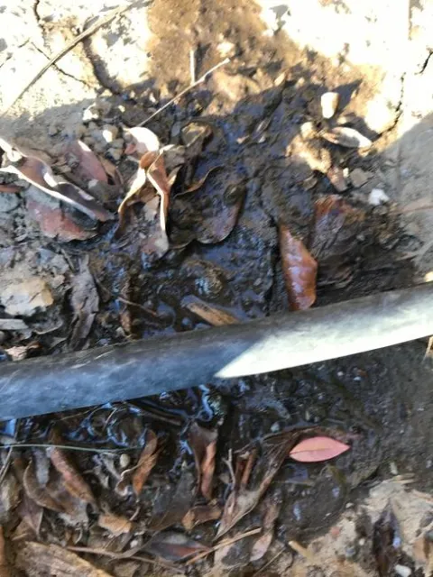 Cracked and leaking hose. photos by Janet Snyder