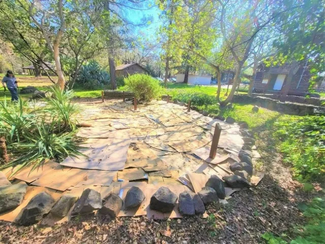 Ready for Mulch - P. Pashby