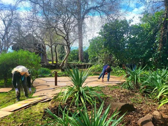 Laying down the cardboard - P. Pashby (1)