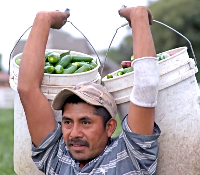 Agricultor latino
