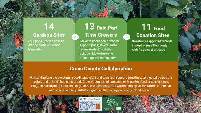 Cap Planet screenshot