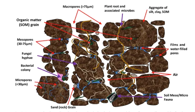 Image: Steven Vanek, adapted from Steven Fonte