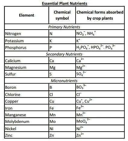 Essential plant nutrients. Image: UC ANR