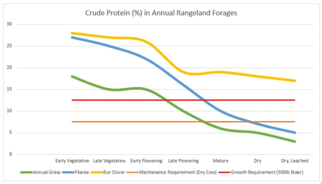 protein graph