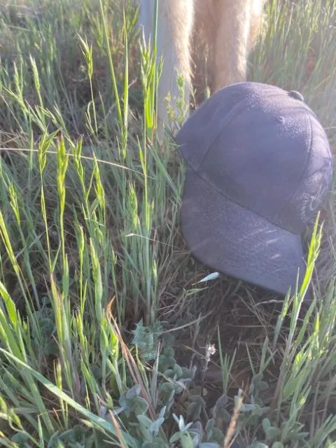 Photo Mar 20, 8 37 11 AM