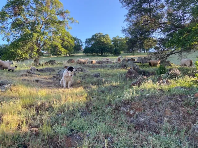 Photo Mar 20, 8 31 45 AM