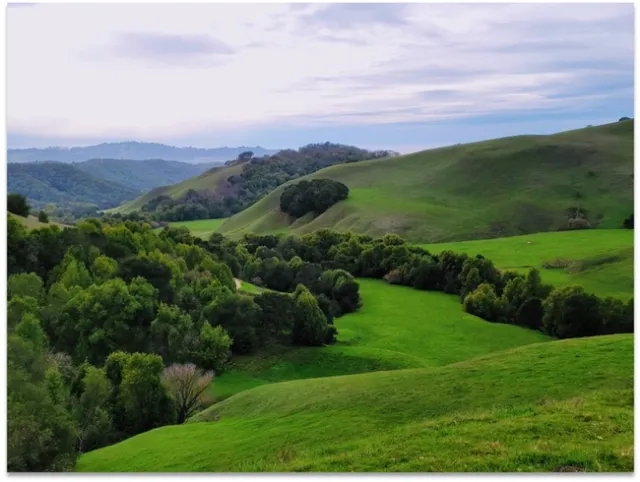 Briones East Bay Regional Park by Marisa Neelon
