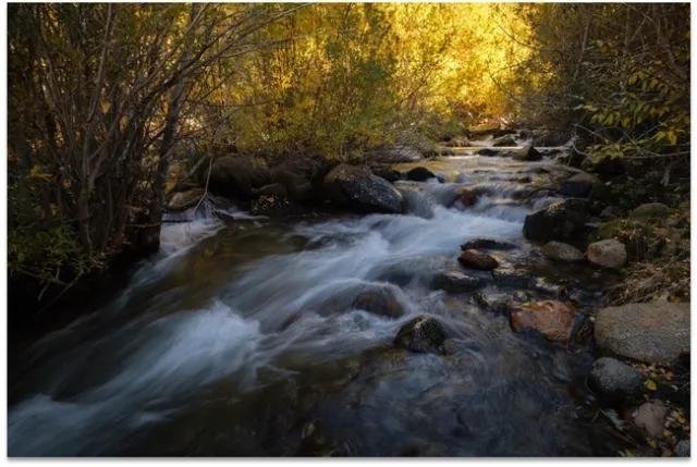 Honorable Mention- Bishop Creek by Dustin Blakey