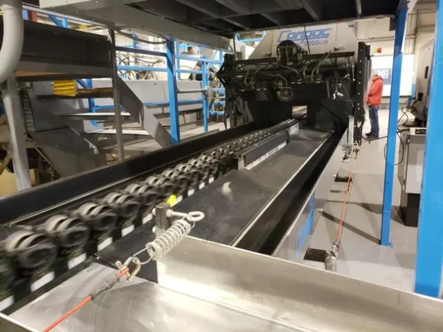 Conveyor belt into the packline. No fruit is shown.