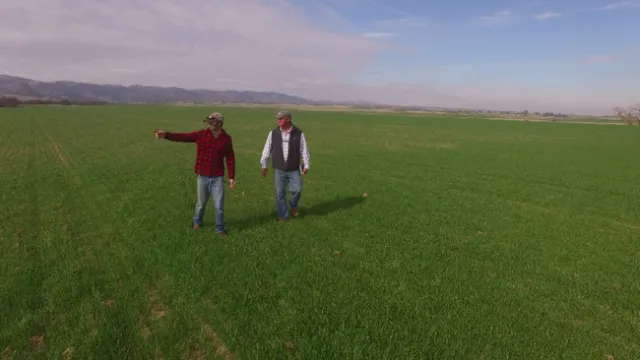 Farmer Field Day
