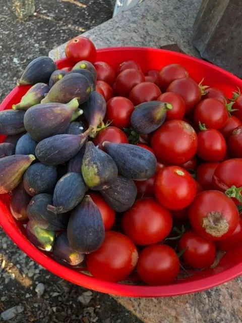 Photo by Patty Smith