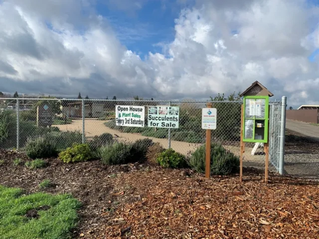 Seed share shed in front of garden.