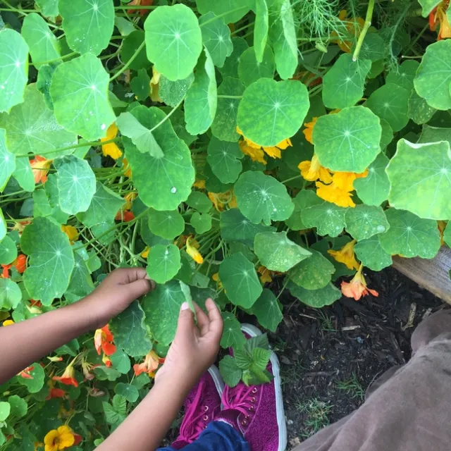 Photo by Jessica Yarger