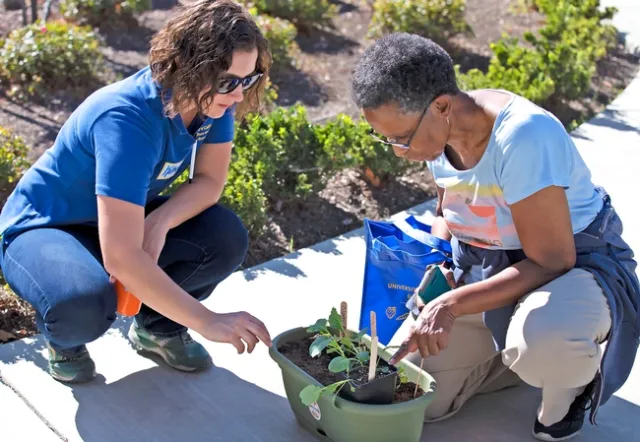 Two woman planting a plant in a pot