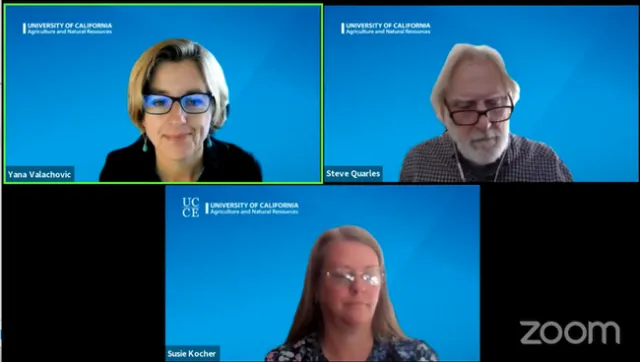 Three headshots on Zoom screen