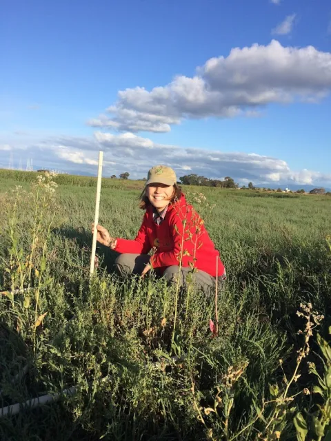 Rachel + Wetland plants