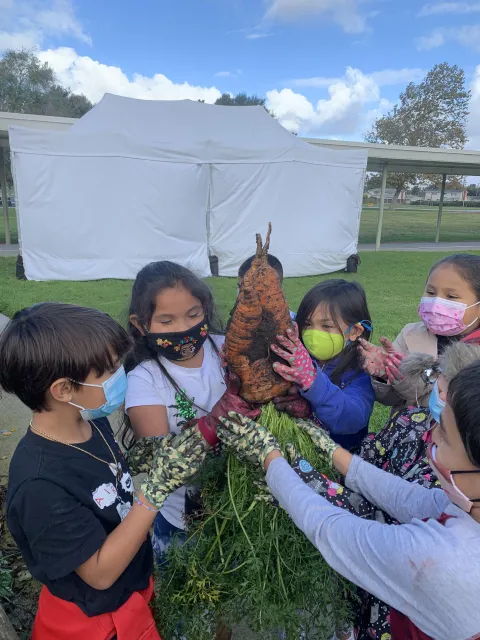 young students in a semicircle, holding up a giant carrot just pulled from the garden