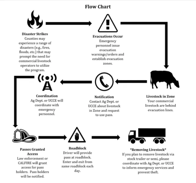 Screenshot 2022-05-04 091814