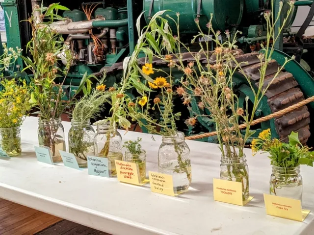 PXL 20220424 193451196~2