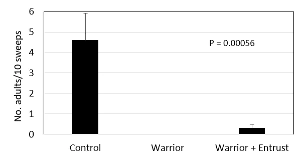 Figure 4. Number of adults/10 sweeps vs. treatment for clover root curculio control, Tulelake, CA. Insecticides applied at highest labelled rate on September 10, 2018.