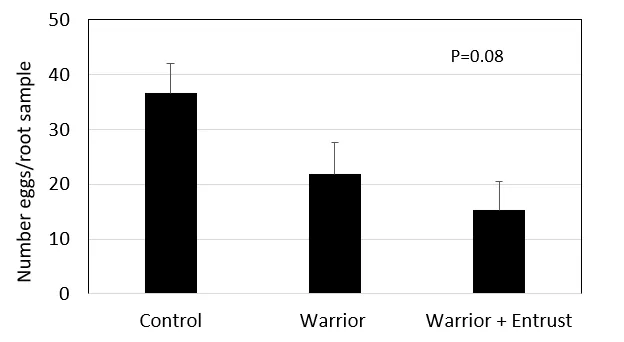 Figure 5. Number clover root curculio eggs/root sample in Spring 2019, for insecticide treatments applied in the Fall 2018. Root samples, 1-ft deep taken on April 17, 2019, Tulelake, CA.