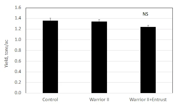Figure 6. Yield versus treatment for clover root curculio control, Tulelake, CA (September 26, 2019). There were no differences in yield between treatments for fall (2018) applied insecticides.