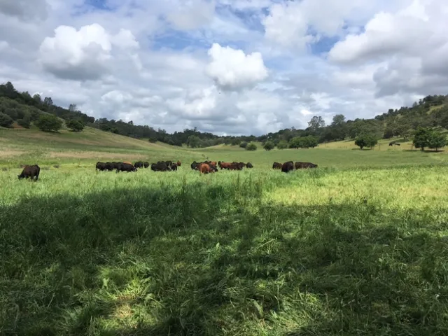 2018 grazing school pic2