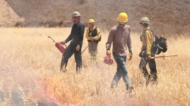 Three people wearing hard hats and carrying drip torches.