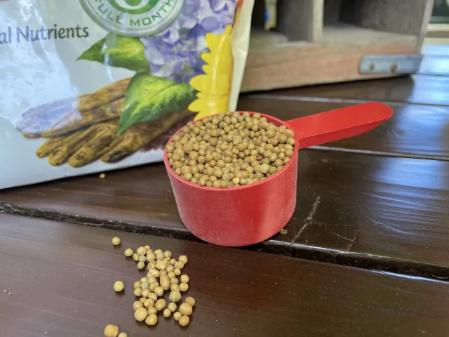 Granulated fertilizer is one option for gardeners, always use these products according to the instructions on the label. Photo credit: Lauren Snowden